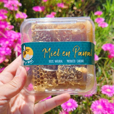 Miel en panal2