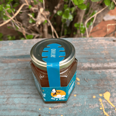 Miel de Quillay 250 gr2