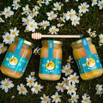 3 mieles 500 gr + cuchara mielera3