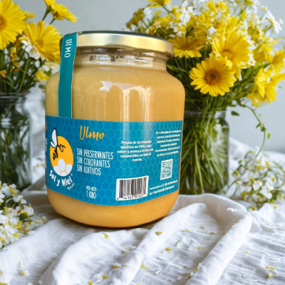 Miel de ulmo 1 kg2