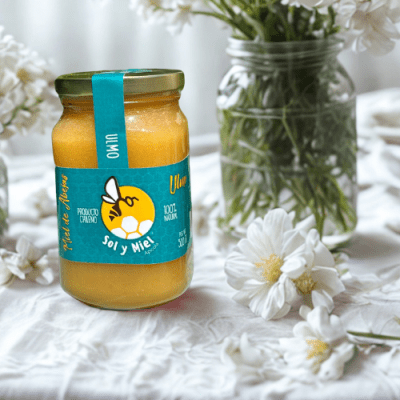 Miel de Ulmo 500 gr2