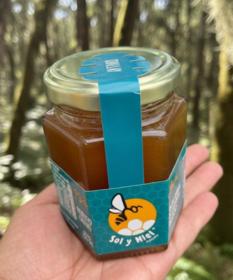 Miel de Quillay 250 gr2