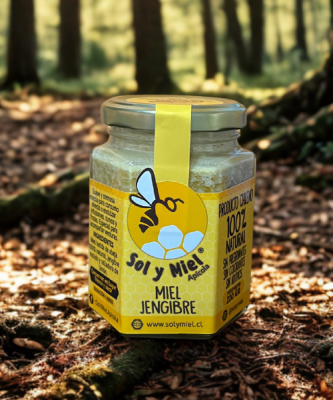 Miel gourmet Jengibre1