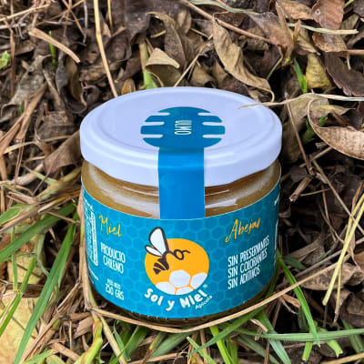 Miel de ulmo 250 gr1