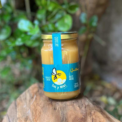 Miel de Quillay 500 gr2