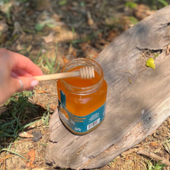 Cuchara mielera chica