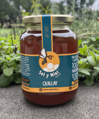 Miel de Quillay 1 kg