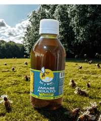 Jarabe Adulto 200 ml