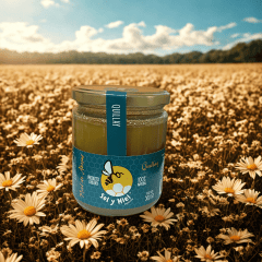 Miel de Quillay 500 gr