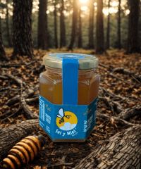 Miel de ulmo 250 gr
