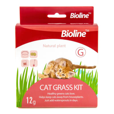 CAT GRASS KIT BIOLINE