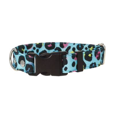 THE ROCKY DOG COLLAR