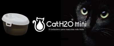 CATH2O FUENTE BEBEDERA MINI 1.2L + DENTAL CARE