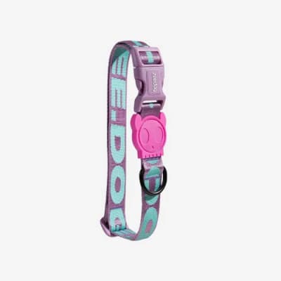 ZEEDOG COLLAR AURA