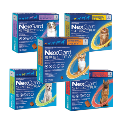 NEXGARD SPECTRA ANTIPARASITARIO EXTERNO E INTERNO (3)