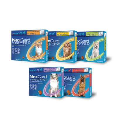 NEXGARD SPECTRA ANTIPARASITARIO EXTERNO E INTERNO