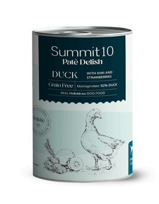 SUMMIT10 PATE PATO DOGS