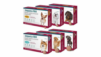 SIMPARICA TRIO 1 COMPRIMIDO