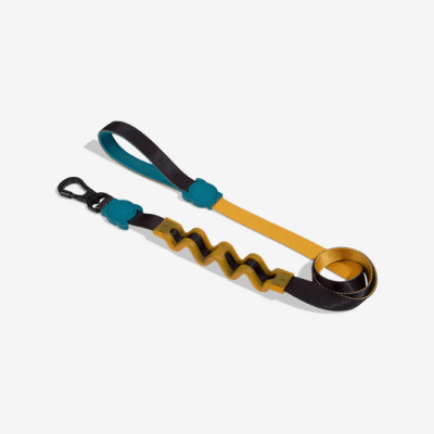 ZEEDOG LEASH VALLEY RUFF
