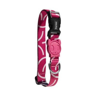 ZEEDOG COLLAR NARA