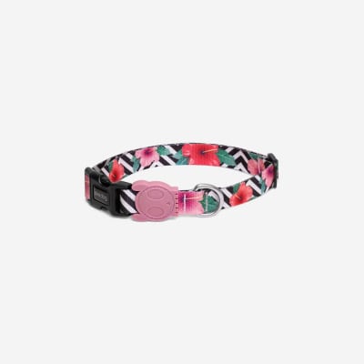 ZEEDOG COLLAR MAHALO
