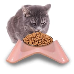 COMEDERO O BEBEDERO ANTIDERAME 1