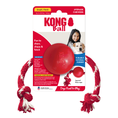 KONG BALL WITH ROPE 1