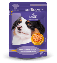 GEROLAMO SALVATORE SACHET CACHORRO 1