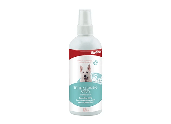 SPRAY HIGIENE DENTAL1