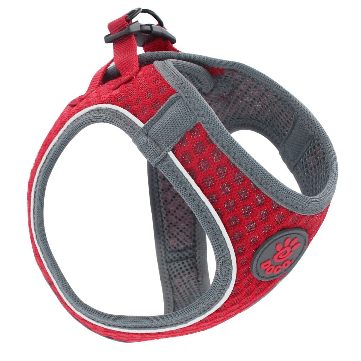 DOCO ARNES ATLETICO ROJO1