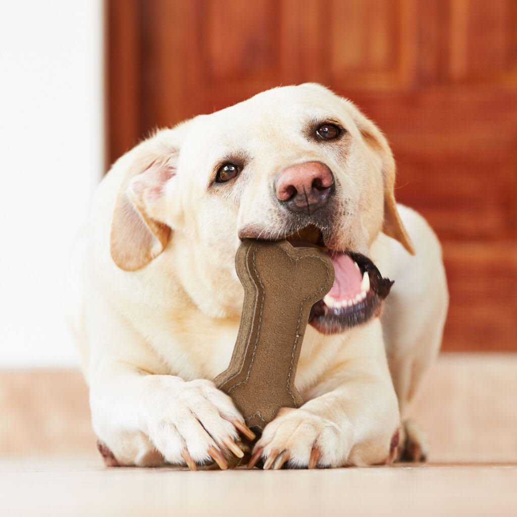 SPOT DURA-FUSED LEATHER  (CUERO)2