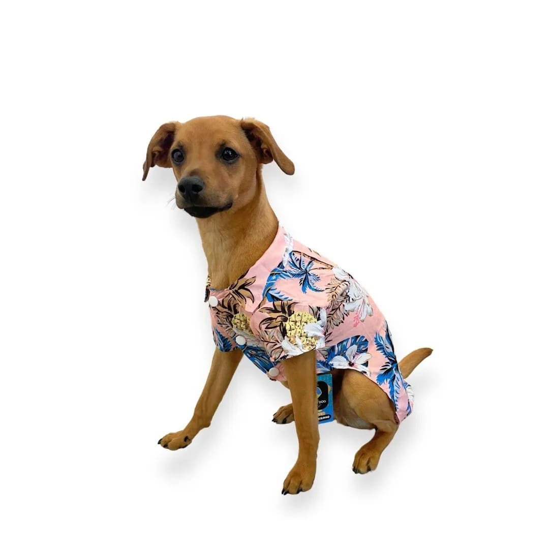 CAMISA DISEÑOS VERANO1