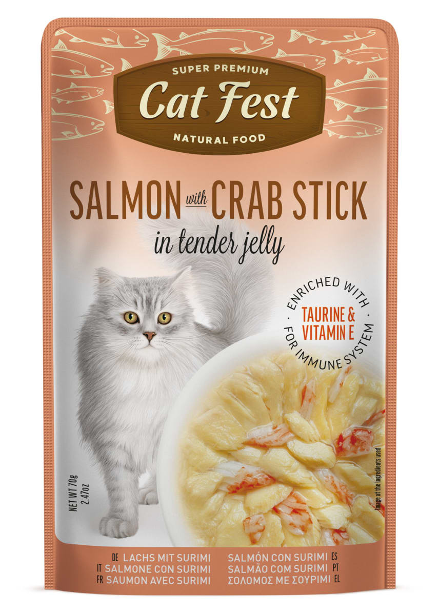CATFEST POUCH SALMON (70 gr)2