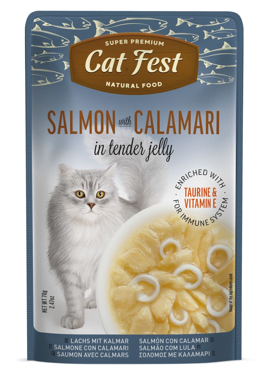 CATFEST POUCH SALMON (70 gr)3