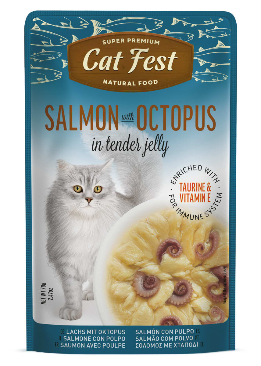 CATFEST POUCH SALMON (70 gr)4