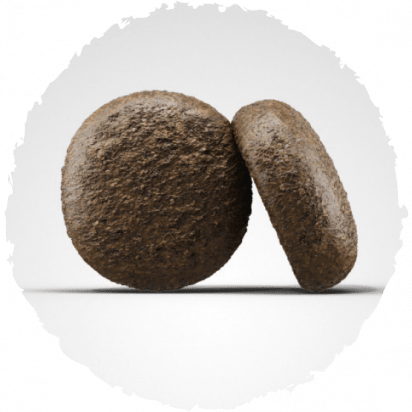 JOSERA FESTIVAL ADULTO1