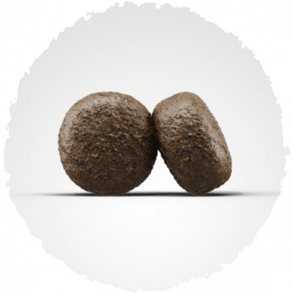 JOSERA LIGHT Y VITAL2