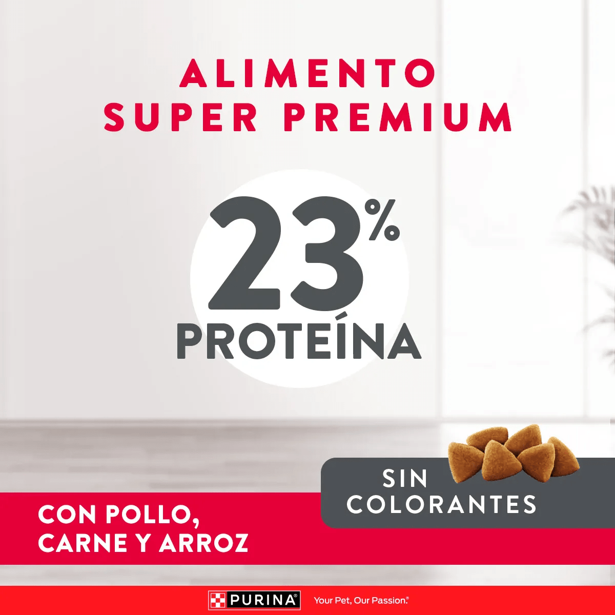 EXCELLENT ADULTO MANTENIMIENTO ALL BREED1
