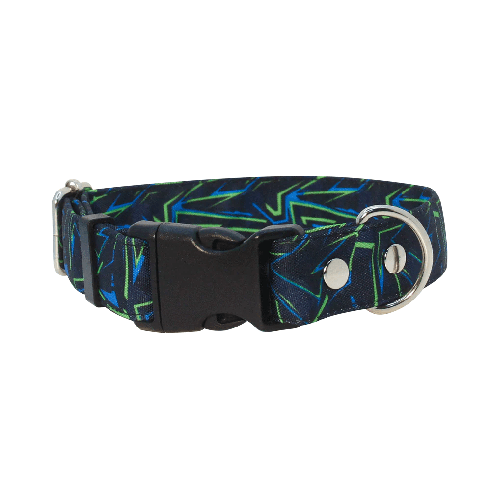 THE ROCKY DOG COLLAR8