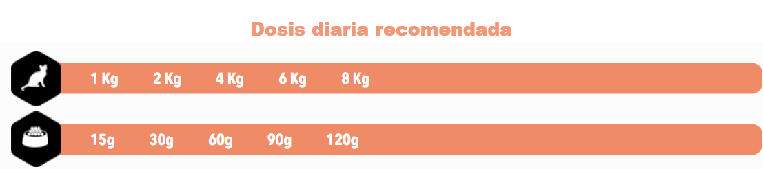 AMITY ADULT CAT STERILIZED SALMON2