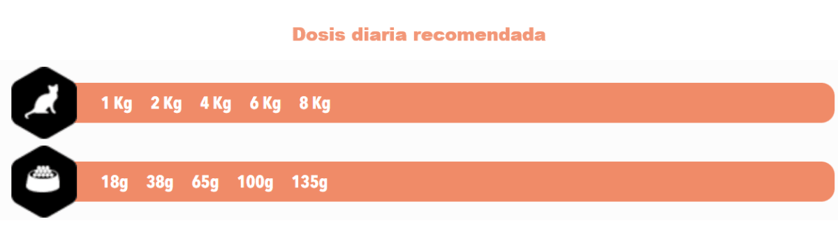 AMITY ADULT CAT SALMON1