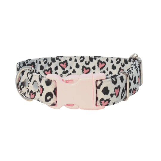 THE ROCKY DOG COLLAR5