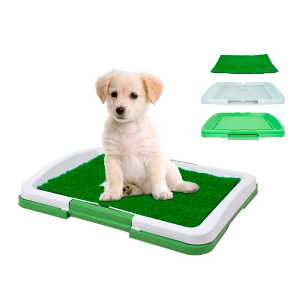 PUPPY POTTY PAD - PASTO SINTÉTICO2