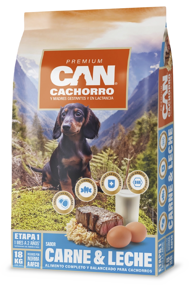 CAN2