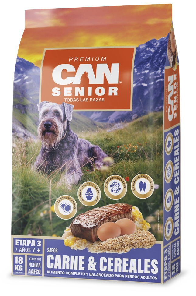 CAN1