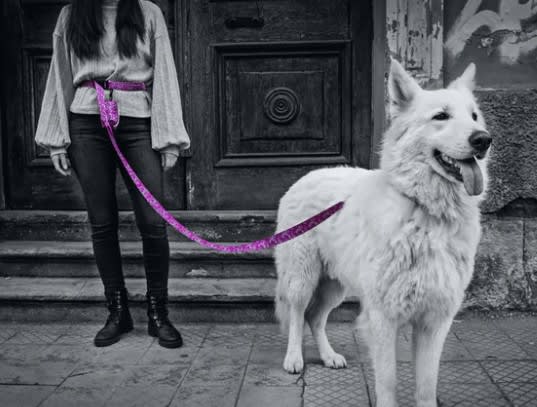 THE ROCKY DOG CORREA MANOS LIBRES4