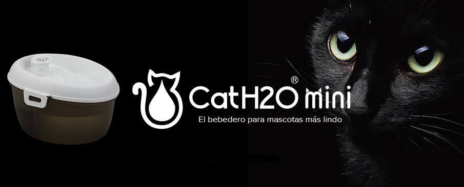 CATH2O FUENTE BEBEDERA MINI 1.2L + DENTAL CARE4