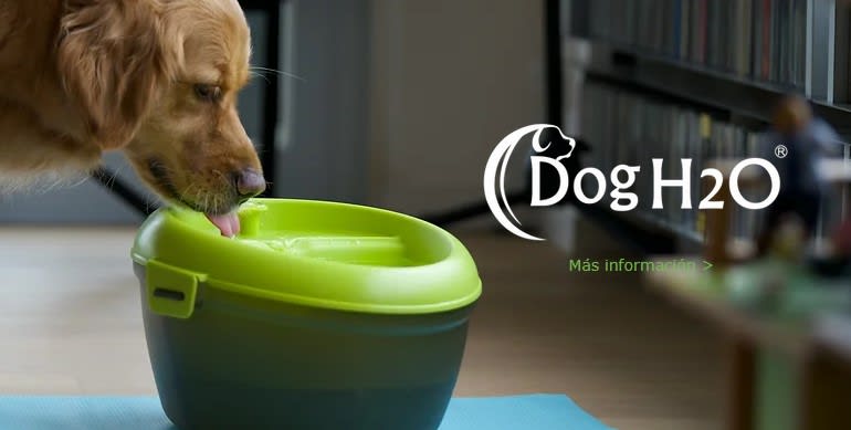 DOGH2O FUENTE DE AGUA 6LT1