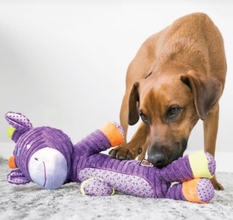 KONG PATCHES ADORABLES3