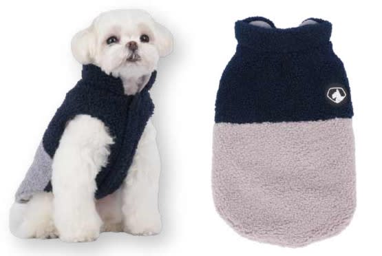 WONDER DOG CHAQUETA CHIPORRO AZUL1